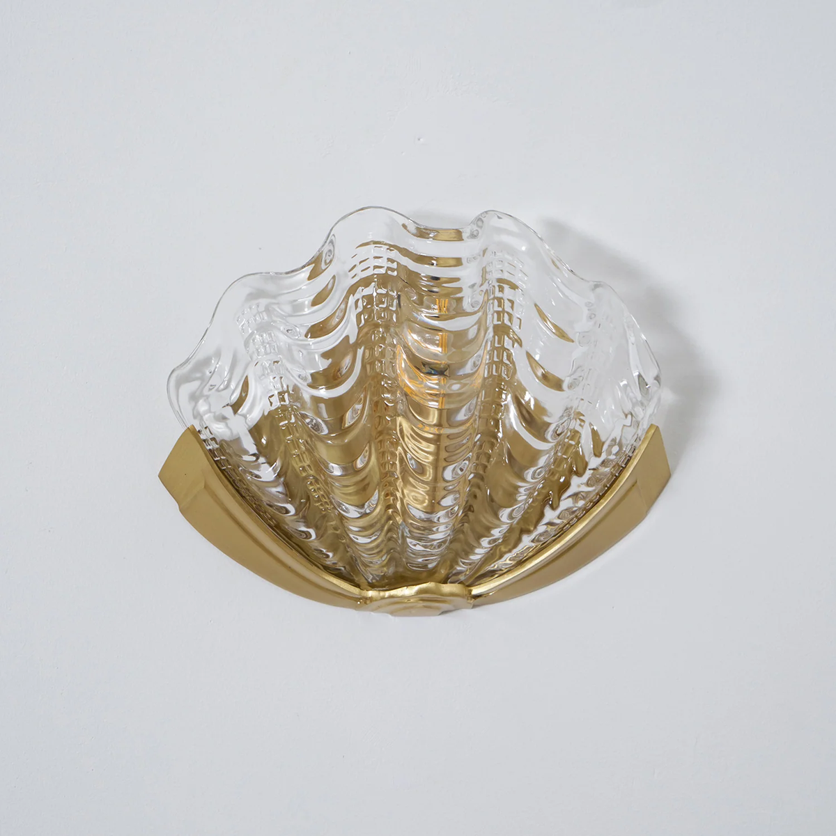 Nerelle Scalloped Glass Wall Sconce