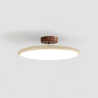 Drift Adjustable LED Ceiling Light
