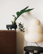 Rice Paper Table Lamp R19 — product view 40