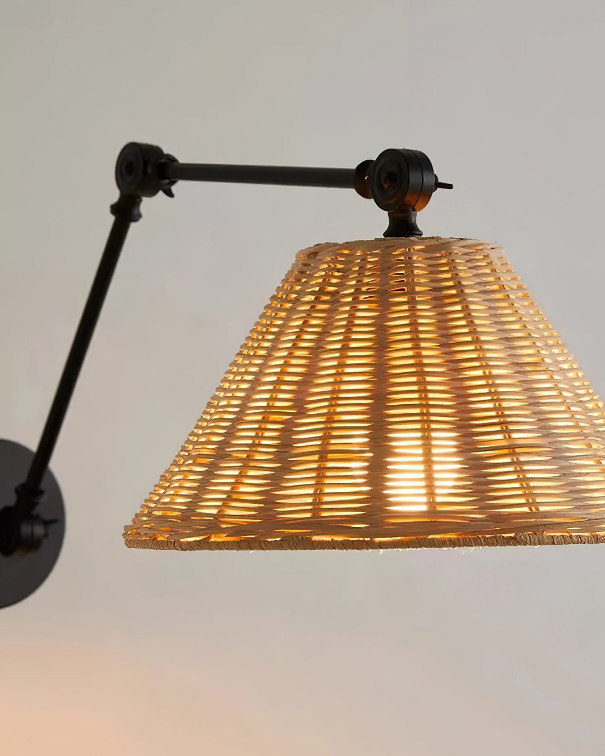 Barnes Swing Arm Metal Wall Lamp — product view 16