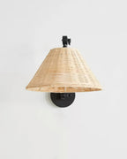 Barnes Swing Arm Metal Wall Lamp — product view 13