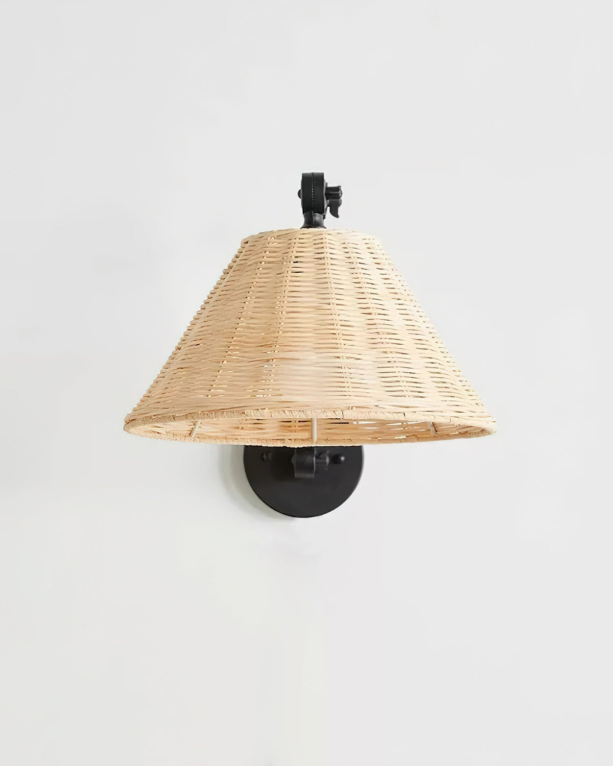 Barnes Swing Arm Metal Wall Lamp — product view 13