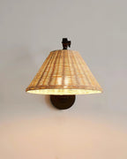 Barnes Swing Arm Metal Wall Lamp — product view 14