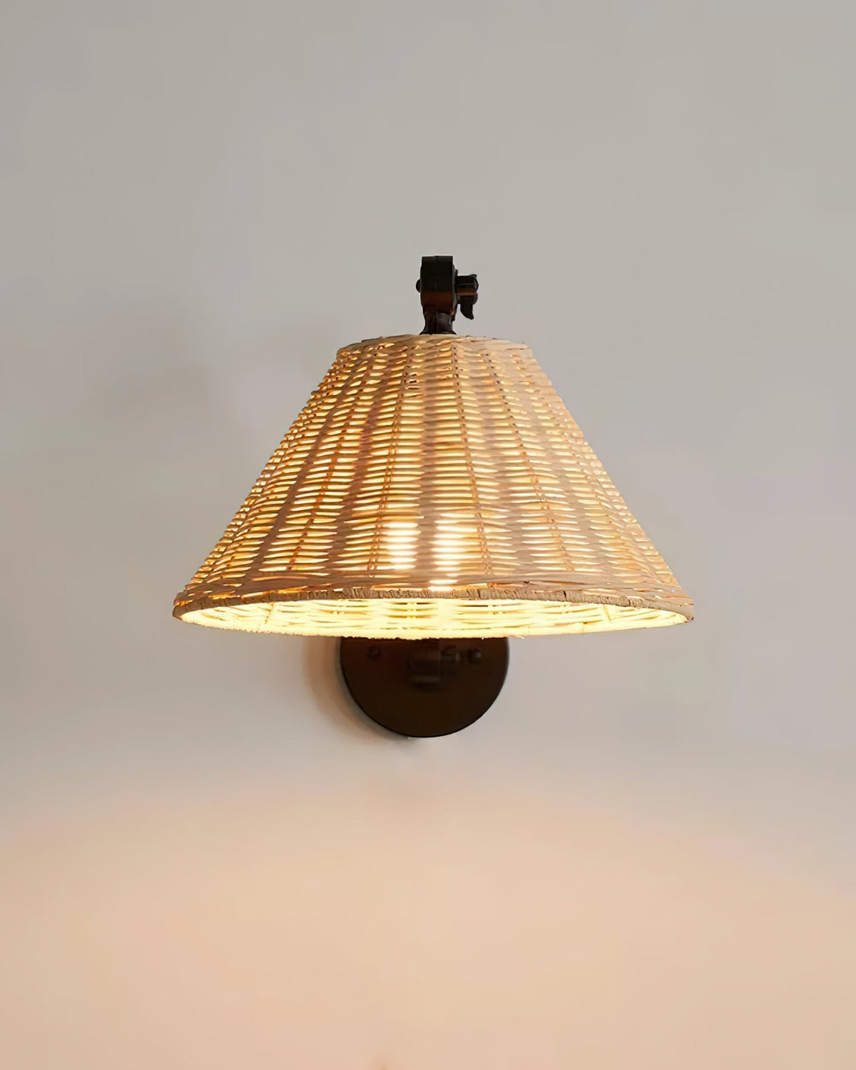 Barnes Swing Arm Metal Wall Lamp — product view 14