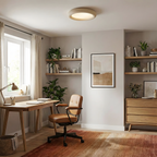 Concise Acrylic Ceiling Light — product view 8
