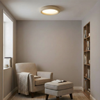 Concise Acrylic Ceiling Light — product view 16
