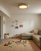 Concise Acrylic Ceiling Light — product view 15