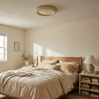 Concise Acrylic Ceiling Light — product view 6