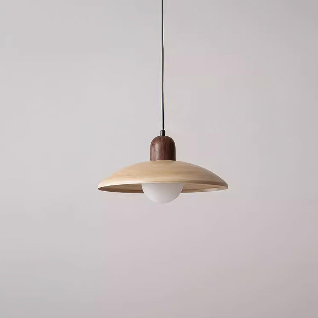 Corpin Glass Pendant Lamp — product view 24