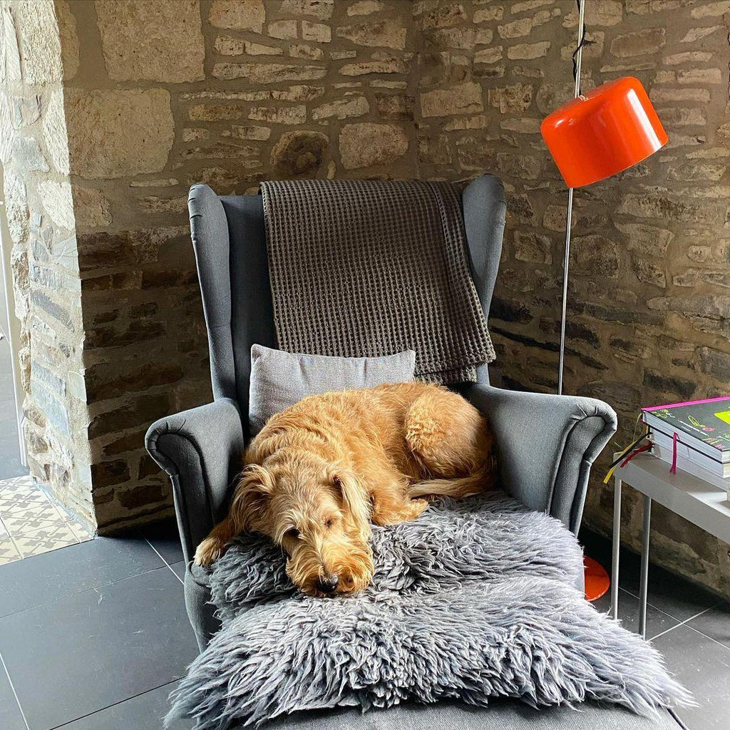 Coupé Metal Floor Lamp — product view 12
