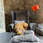Coupé Metal Floor Lamp — product view 12