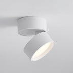 Favilla Surface Spotlight — product view 14