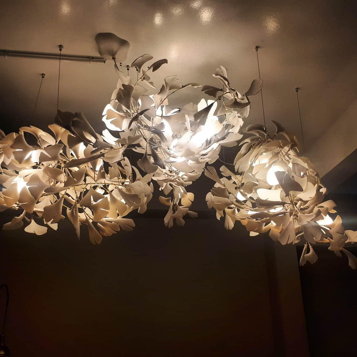 Gingko Chandelier E Style — product view 28