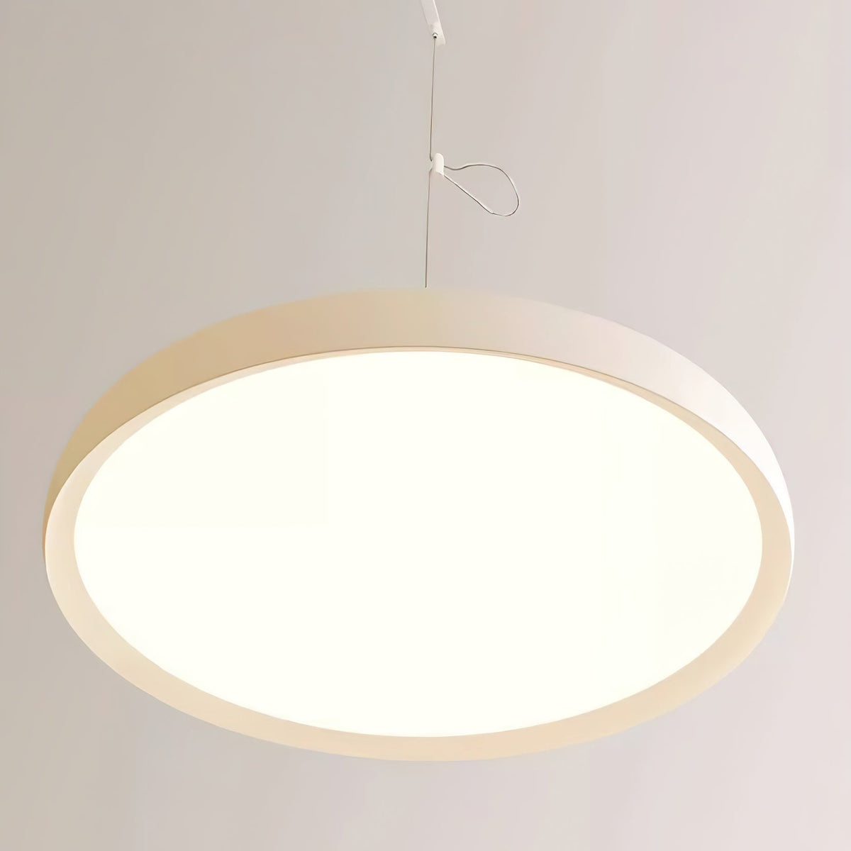 Glasia Metal Pendant Lamp — product view 19