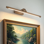 Gold Rechargeable LED Picture Light