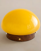 Honeyed Dome Glass Ceiling Lamp — product view 21