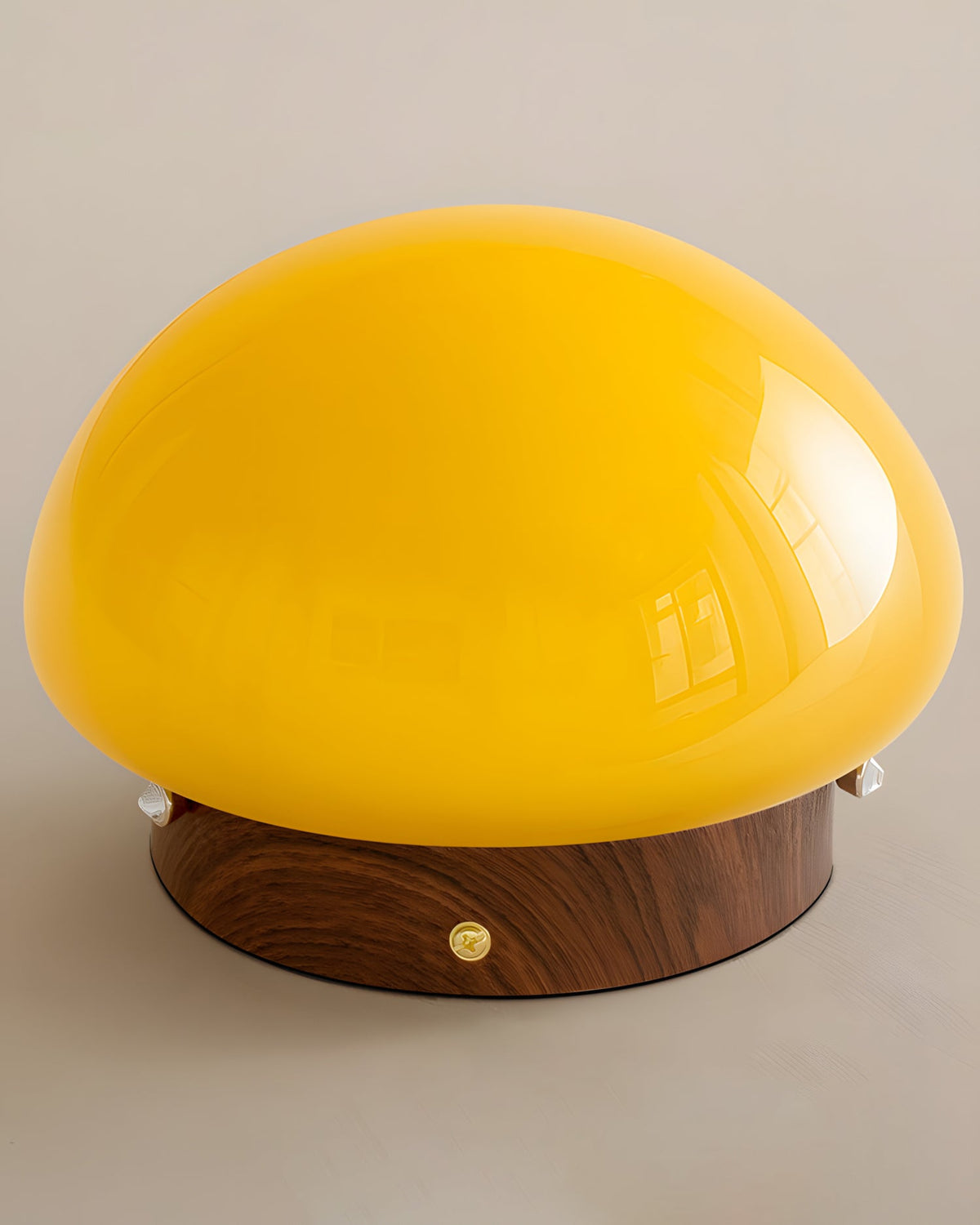 Honeyed Dome Glass Ceiling Lamp — product view 21