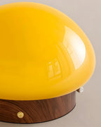 Honeyed Dome Glass Ceiling Lamp — product view 13