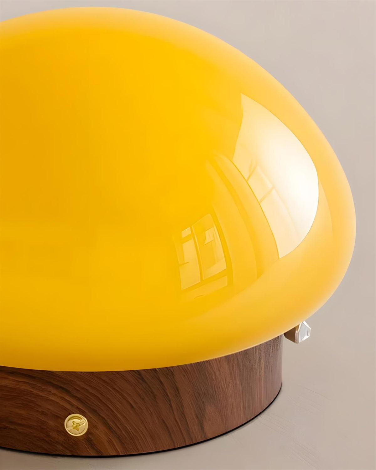 Honeyed Dome Glass Ceiling Lamp — product view 13