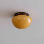 Honeyed Dome Glass Ceiling Lamp — product view 16