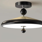 Hover Metal Ceiling Lamp — product view 15