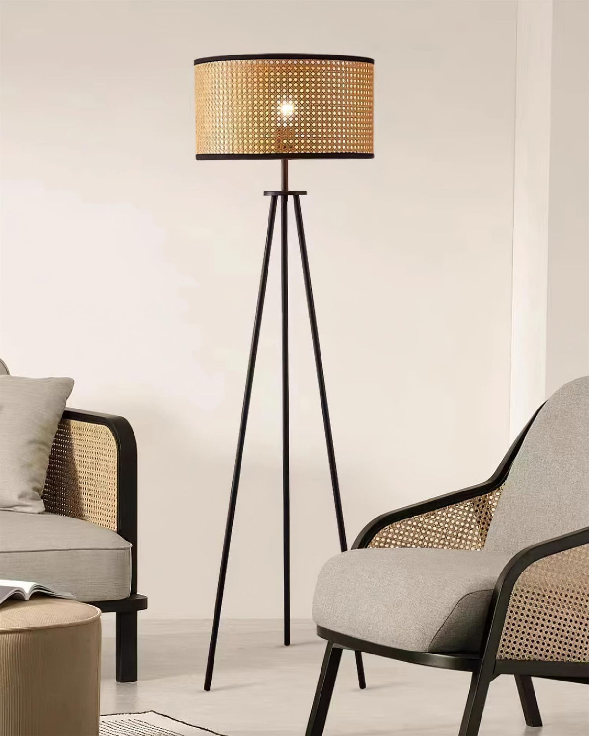 Morenci Metal Floor Lamp — product view 20