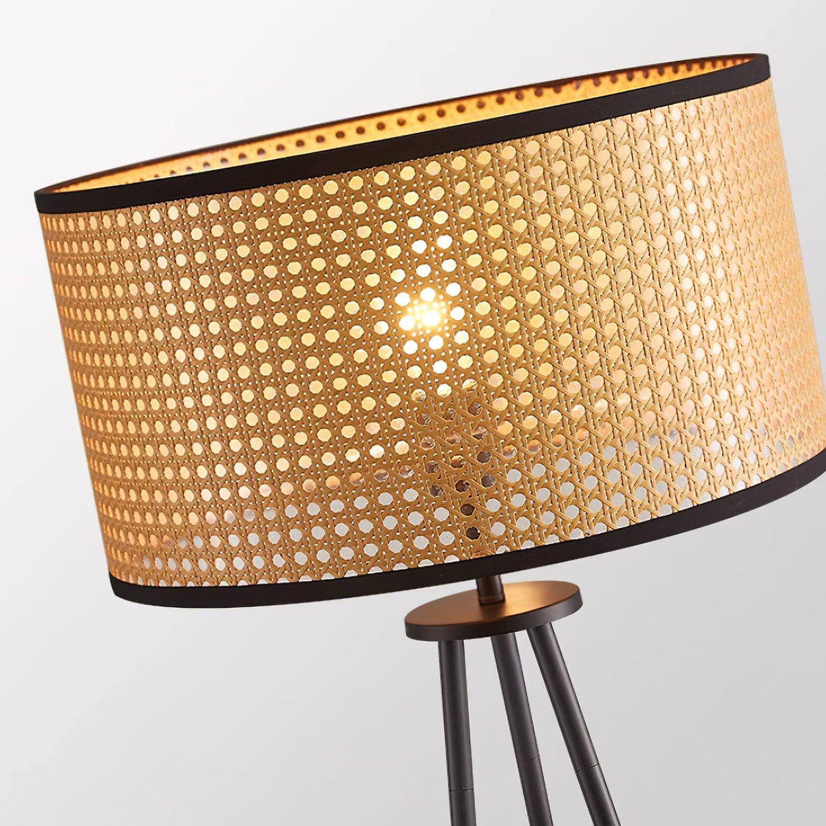 Morenci Metal Floor Lamp — product view 29