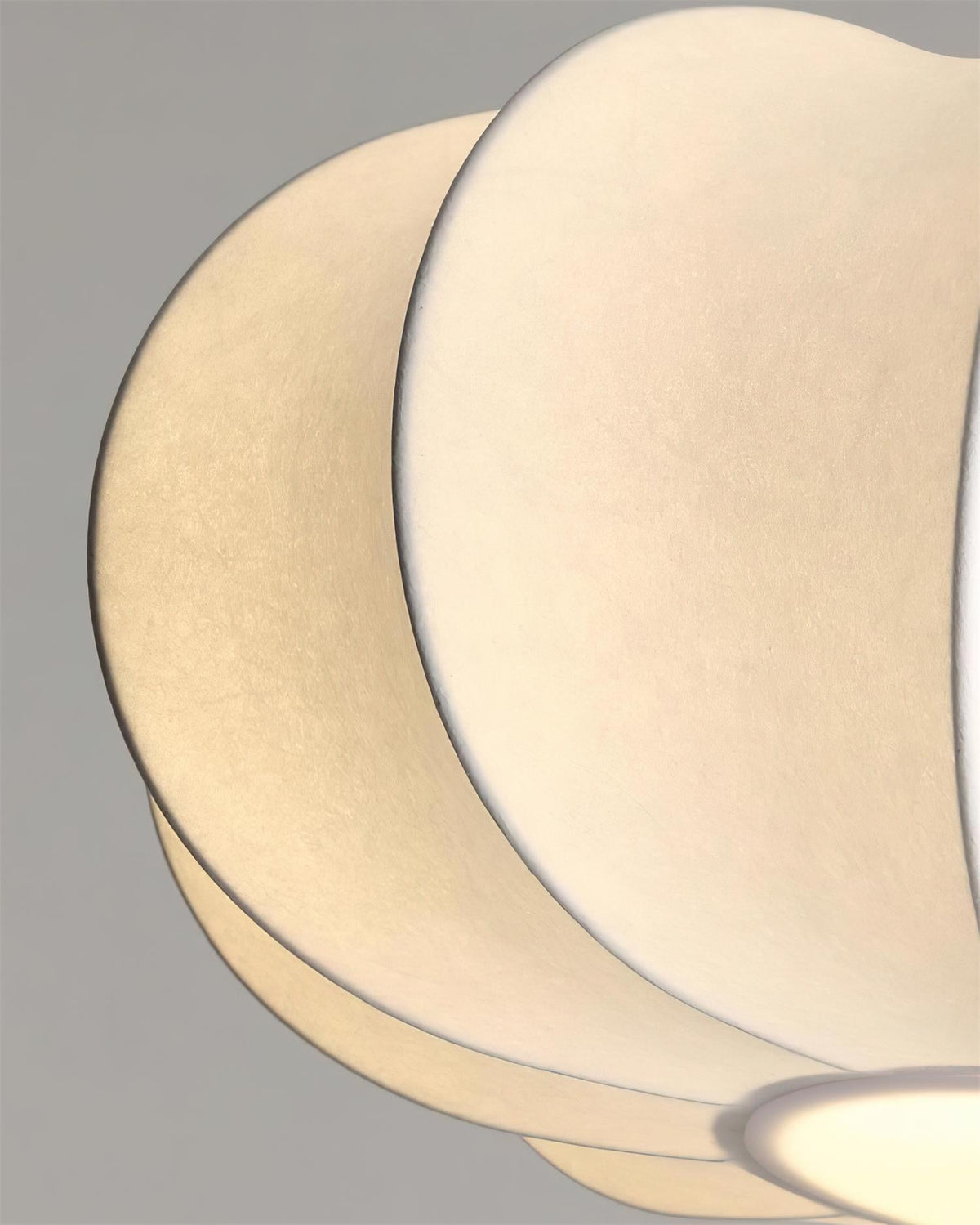 Nutria Wood Pendant Lamp — product view 20