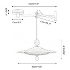 Pavilion Swing Arm Metal Pendant Lamp — product view 5