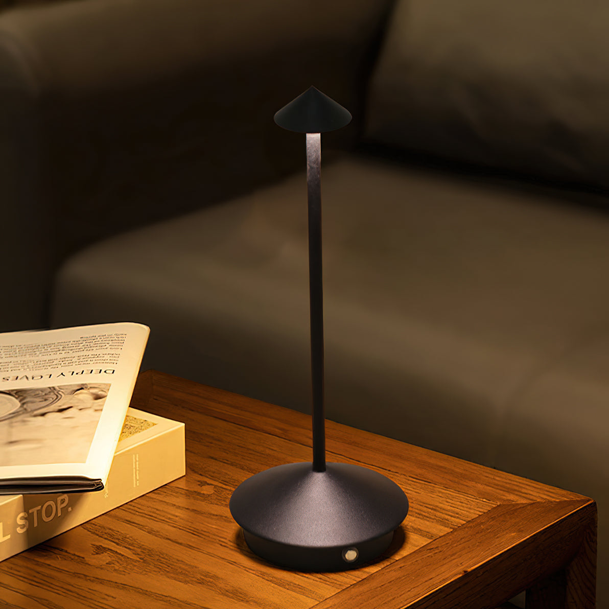 Pina Rechargeable LED Table Lamp