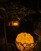 Pumpkin Metal Table Lamp — product view 21