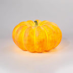 Pumpkin Metal Table Lamp — product view 43
