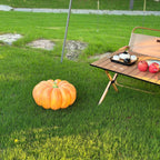 Pumpkin Metal Table Lamp — product view 10