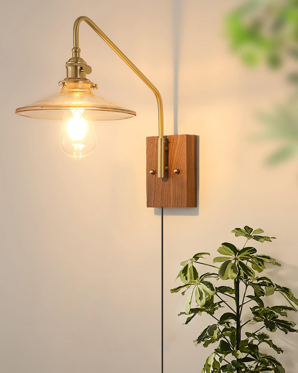 Retro Kelsey Plug In Glass Wall Light — product view 21