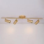 Rotatable Spotlight Wall & Ceiling Light