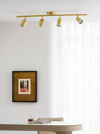 Rotatable Spotlight Wall & Ceiling Light