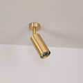 Rotatable Spotlight Wall & Ceiling Light