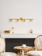 Rotatable Spotlight Wall & Ceiling Light