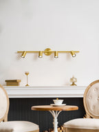Rotatable Spotlight Wall & Ceiling Light