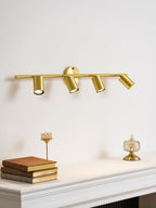 Rotatable Spotlight Wall & Ceiling Light
