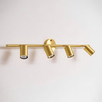 Rotatable Spotlight Wall & Ceiling Light