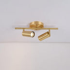 Rotatable Spotlight Wall & Ceiling Light
