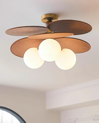 Salisbury Glass Ceiling Light — product view 13