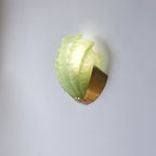 Seashell Glass Wall Lamp — product view 2
