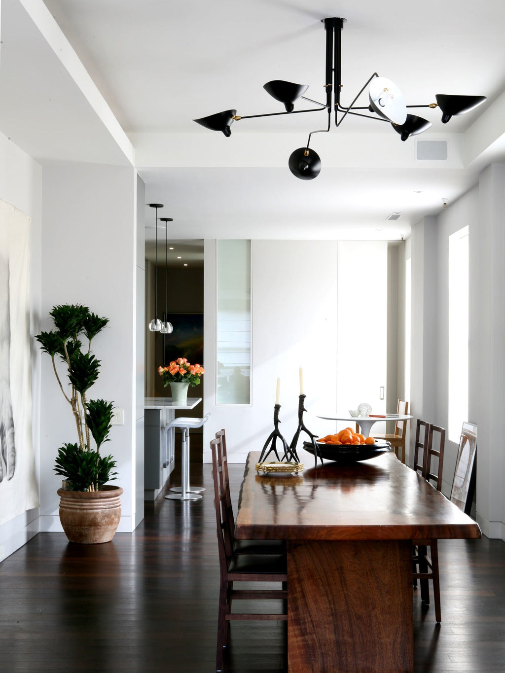 Serge Mouille Multi-Arm Spider Ceiling Light
