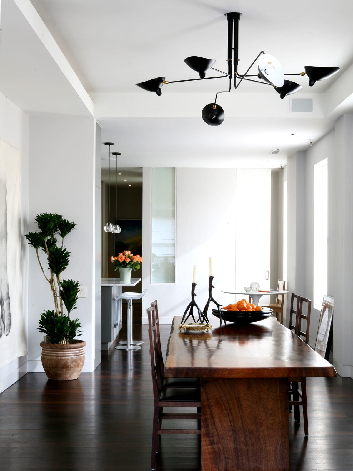 Serge Mouille Multi-Arm Spider Ceiling Light