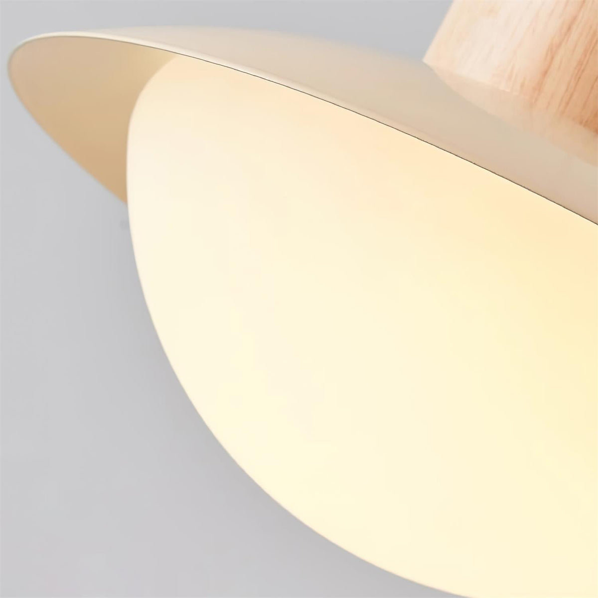 Stevie Wood Pendant Lamp — product view 17