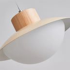 Stevie Wood Pendant Lamp — product view 18