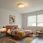 Talena Metal Ceiling Light — product view 7