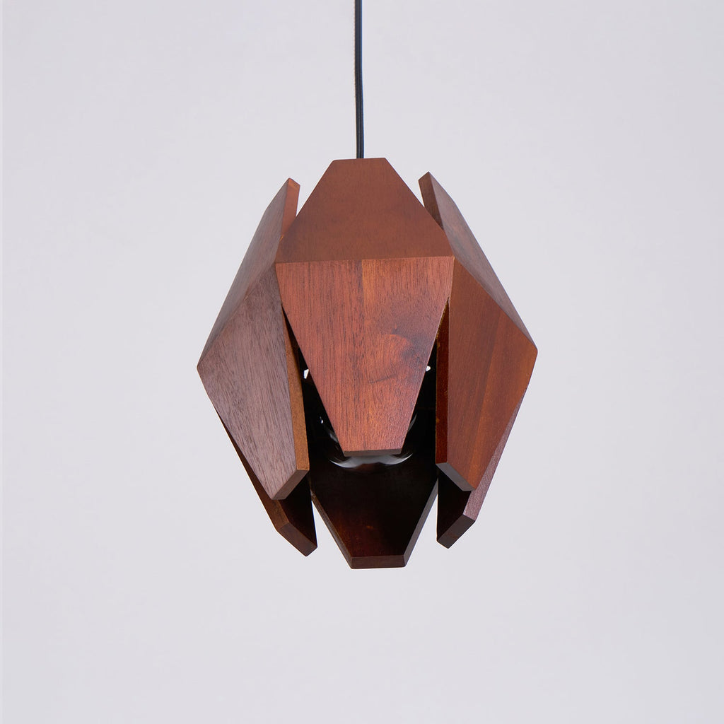 Wood Astris Pendant Lamp — product view 37